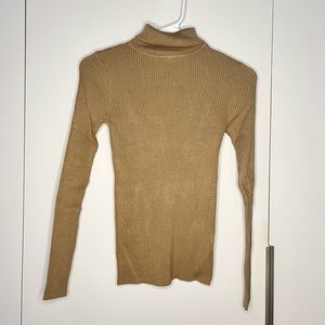 Brown turtleneck